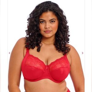 Elomi Morgan Stretch Bra Woman 36I Red Lace Underwire Comfort